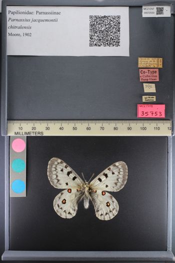 Media type: image;   Entomology 72550